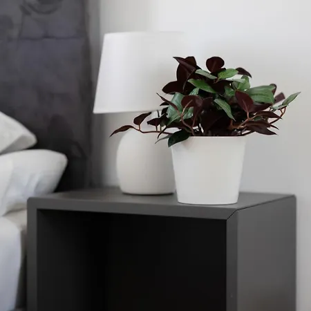 Apartment Elegant With Parking And Balcony By Renters *