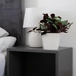 Apartament Elegant With Parking And Balcony By Renters *