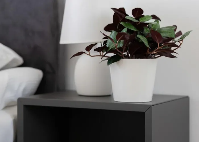 Apartmán Elegant With Parking And Balcony By Renters *